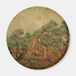 Imã Colheita de Azeitonas por Vincent van Gogh