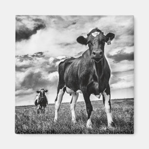 Imã Colheita de espera de BW