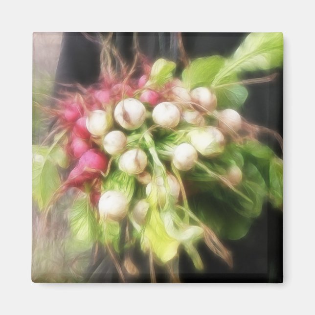 Imã Colheita de Rabanete e Nabo (Frente)