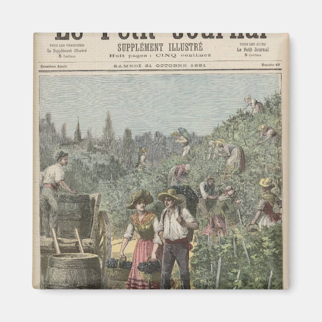 Imã Colheita De Vinhos (Frente)