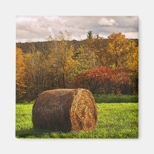 Imã Colheita do outono