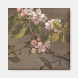 Imã Colibri e flores de Apple