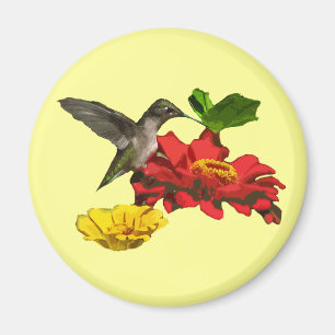 Imã Colibri e Zinnias