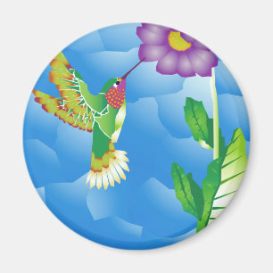 Imã Colibri: Estilizado