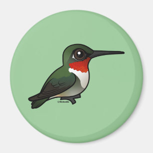 Imã colibri Rubi-throated