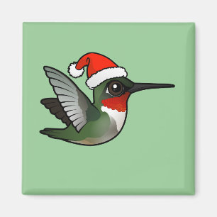 Imã Colibri Rubi-throated do Natal
