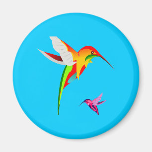 Imã Colibris do vôo