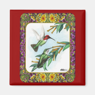 Imã Colibris e flores #4