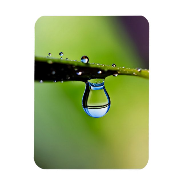 Ímã Colírio de macro (Vertical)