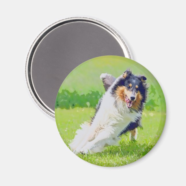 Imã Collie (Front/Back)