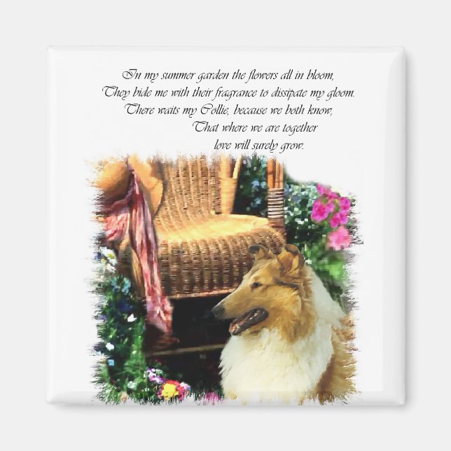 Imã Collie Art Gifts Rough Sable (Frente)