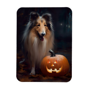 Ímã Collie Áspero de Halloween com Abóboras Assustador