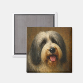Imã Collie Barbudo