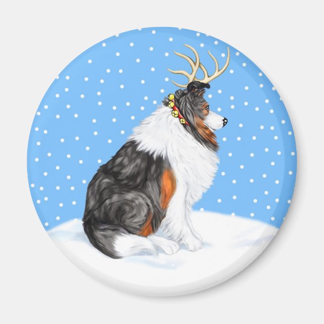 Imã Collie Christmas Reindeer Tri (Frente)