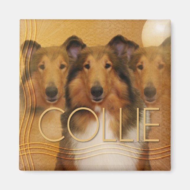 Imã Collie Crescent Moon (Frente)