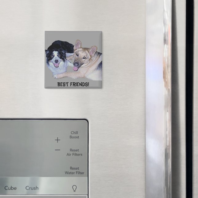 Imã Collie & German shepherd da borda dos melhores ami (In Situ (Fridge))