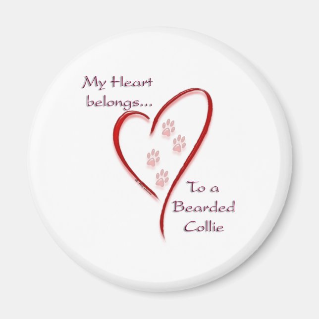 Imã Collie Heart Pertence (Frente)
