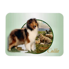 Ímã Collie Keeper da Ovelha