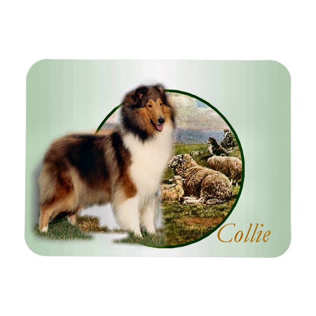 Ímã Collie Keeper da Ovelha (Horizontal)