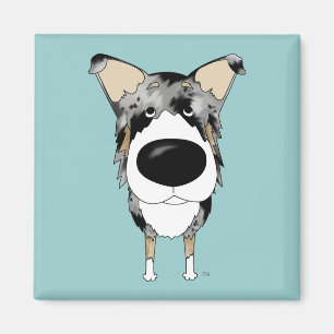 Imã Collie liso do nariz grande
