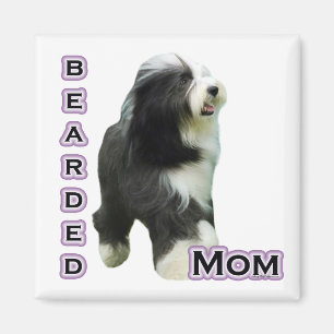 Imã Collie Mãe 4 - Magnet