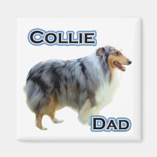 Imã Collie Pai 4 - Magnet