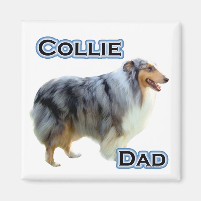 Imã Collie Pai 4 - Magnet (Frente)