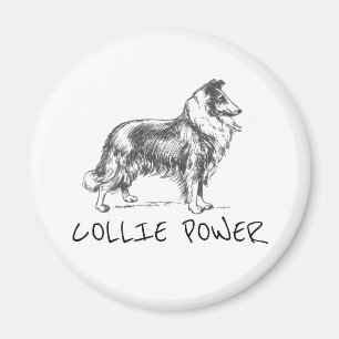 Imã "Collie power"
