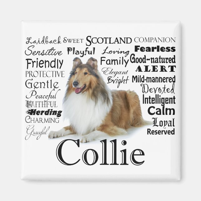 Imã Collie Traits Magnet (Frente)