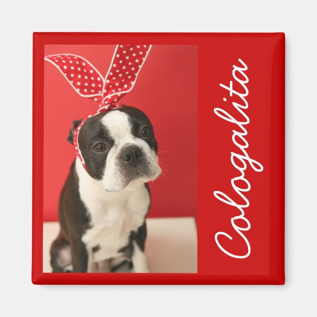 Imã Cologalita Usamimi Magnets (Frente)