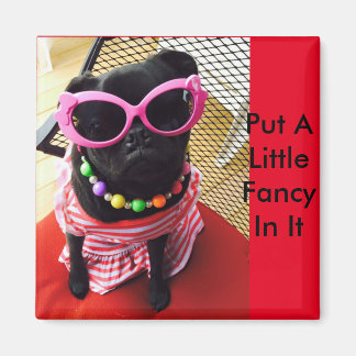 Imã Coloque Um Pequeno Rico Nele