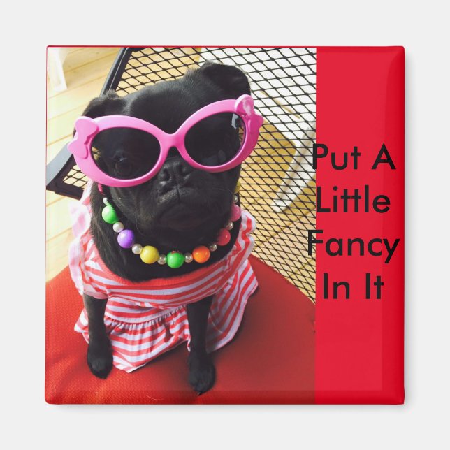 Imã Coloque Um Pequeno Rico Nele (Frente)