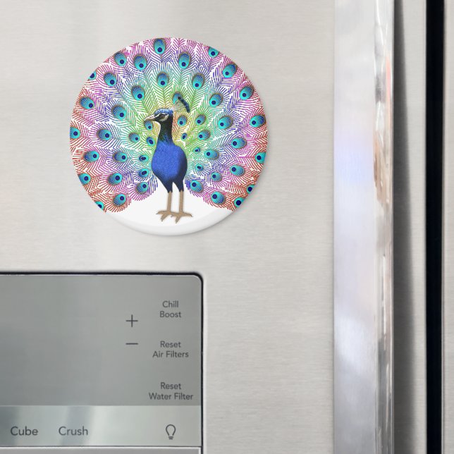 Imã Colorida Peacock (In Situ (Fridge))