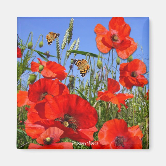 Imã Colorida Poppy Field (Frente)
