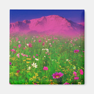 Imã Colorido Colorado, Pikes Peak Mountain