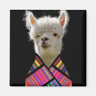 Imã Colorido Llama