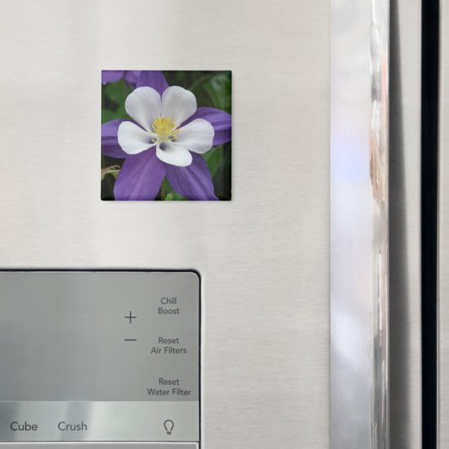 Imã Columbine Roxo e Flor Branca (In Situ (Fridge))