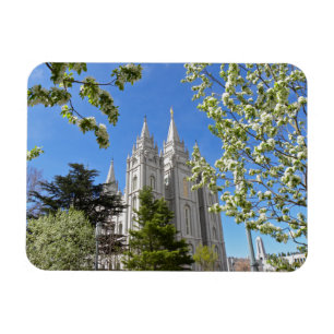 Ímã com o templo de SLC com flores brancas