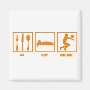 Imã Coma o voleibol do sono