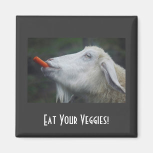 Imã Coma seus vegetarianos!