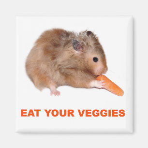 Imã Coma seus vegetarianos
