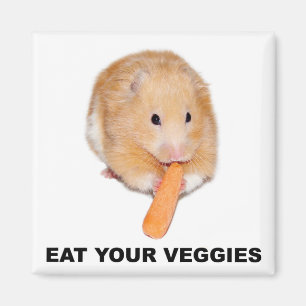 Imã Coma seus vegetarianos