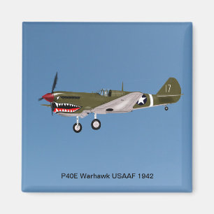 Imã Combatente de Warhawk P40E