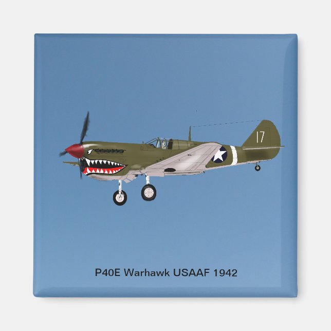 Imã Combatente de Warhawk P40E (Frente)
