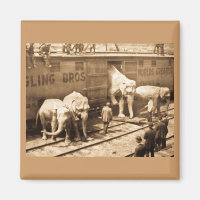 Comboio Elefante de Anel de Lanterna Mágica