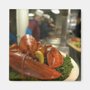 Imã Comensal da lagosta