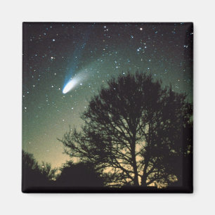 Imã Comet Hale-Bopp e Tree Magnet
