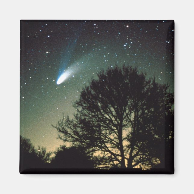 Imã Comet Hale-Bopp e Tree Magnet (Frente)