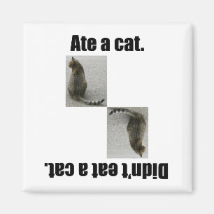 Imã Comeu um gato