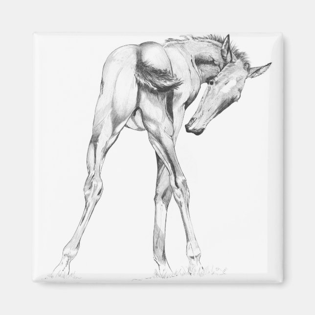 Imã Comichão (Frente)